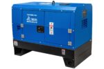 Однопостовой дизельный сварочный генератор TSS DWG-300 — изображение 2